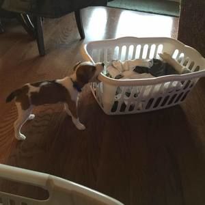 Meet your Posher, Crystal