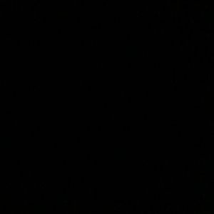 Meet your Posher, Carole