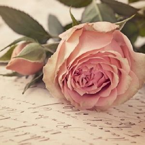 Meet your Posher, Hearty