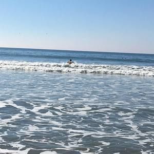 Meet your Posher, Ann