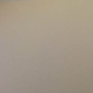 Meet your Posher, Dionne