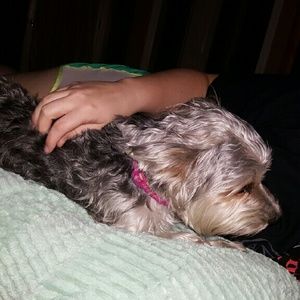 Meet your Posher, Shirley