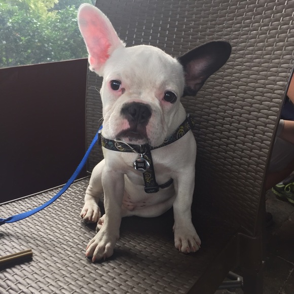 Meet your Posher, Jessica - Picture 2 of 2