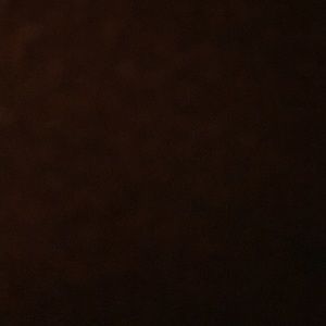 Meet your Posher, Lilly