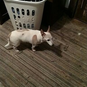 Meet your Posher, Carol