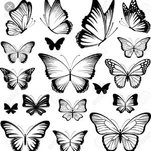 Meet your Posher, Rustina