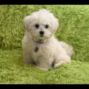 Meet your Posher, Katelyn