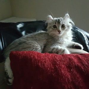 Meet your Posher, Jane