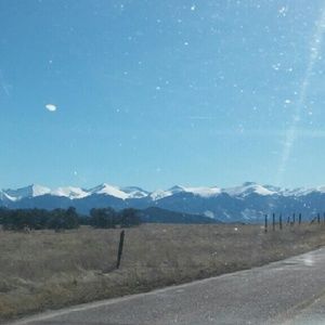 Meet your Posher, Elsa