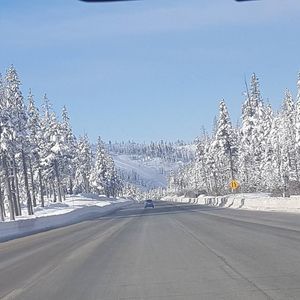 Meet your Posher, Xiomara