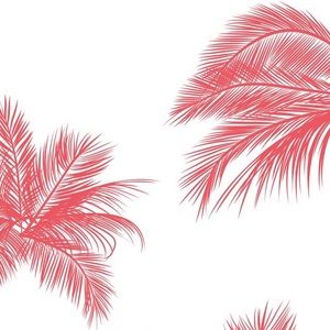 Meet your Posher, Tylee