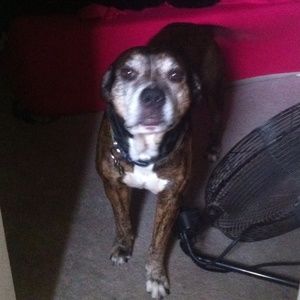 Meet your Posher, Anna