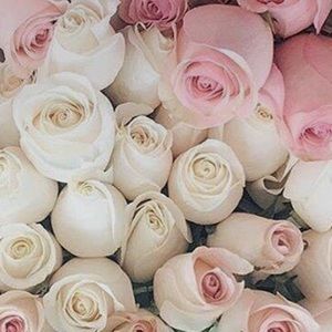 Meet your Posher, Kasandra