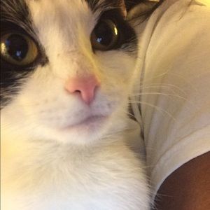 Meet your Posher, Diana