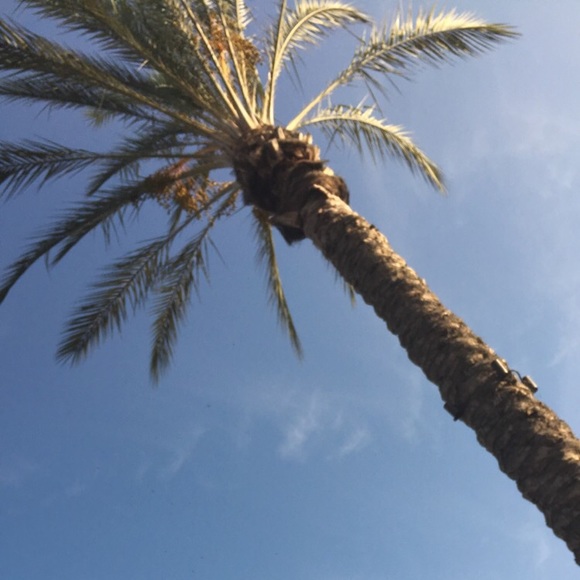 Meet your Posher, Eva - Picture 1 of 1