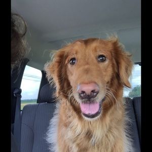 Meet your Posher, Valerie