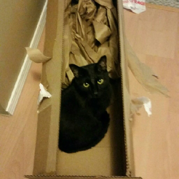 Meet your Posher, Jessica