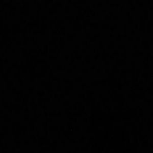 Meet your Posher, Kasie