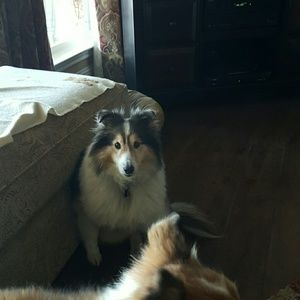 Meet your Posher, Nancy