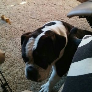 Meet your Posher, Tami