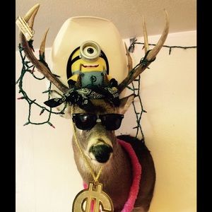 Meet your Posher, Kathy