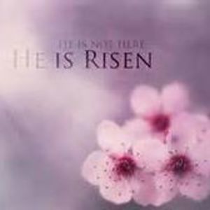 Meet your Posher, Joi