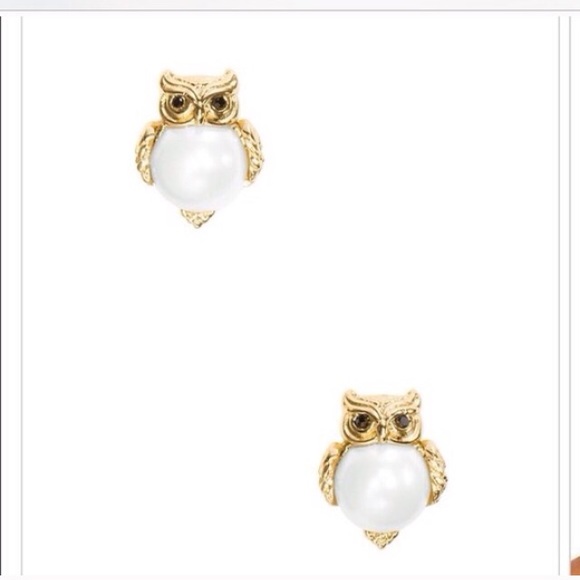 Kate spade into the wood owl earrings ear stud