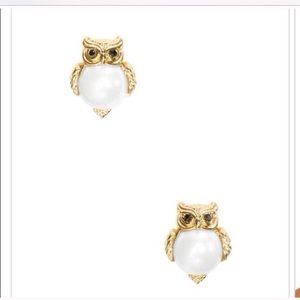 Kate spade into the wood owl earrings ear stud