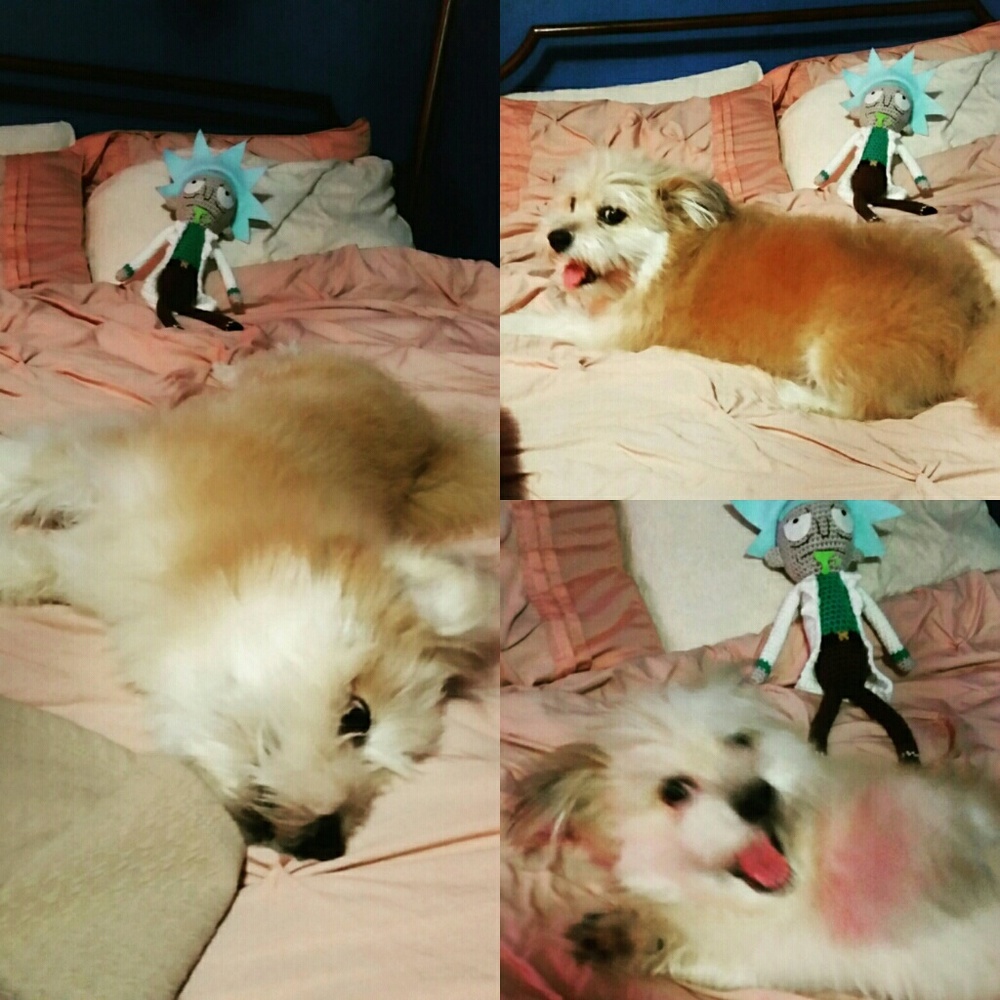 Meet your Posher, Katheryne