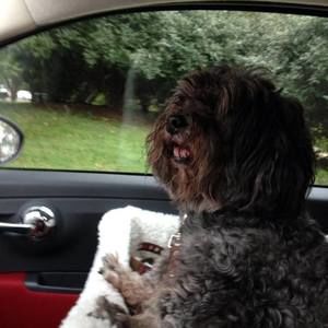 Meet your Posher, Ann