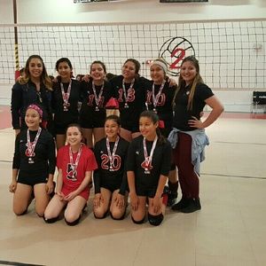 Meet your Posher, Elena