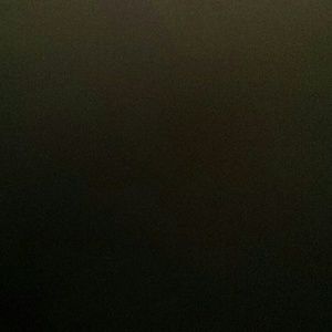 Meet your Posher, Abbie