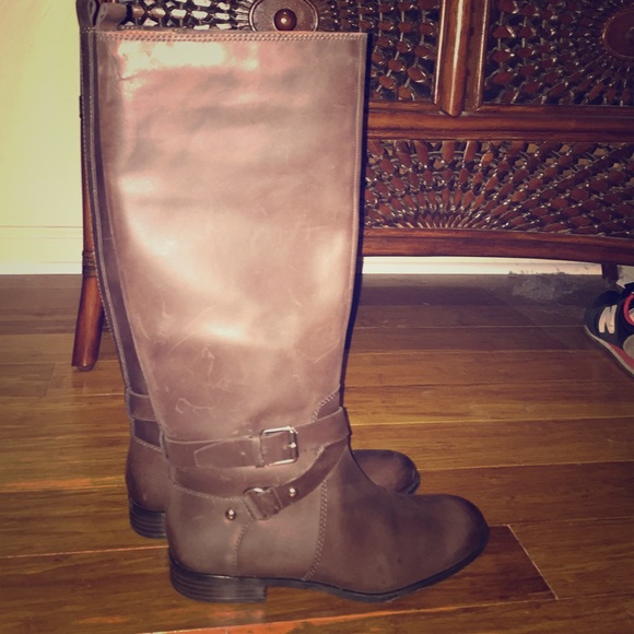 Enzo angiolini 7.5