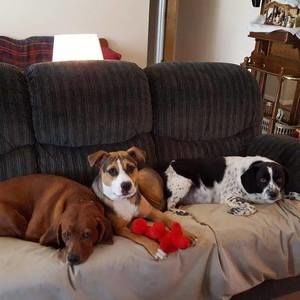 Meet your Posher, Joanne