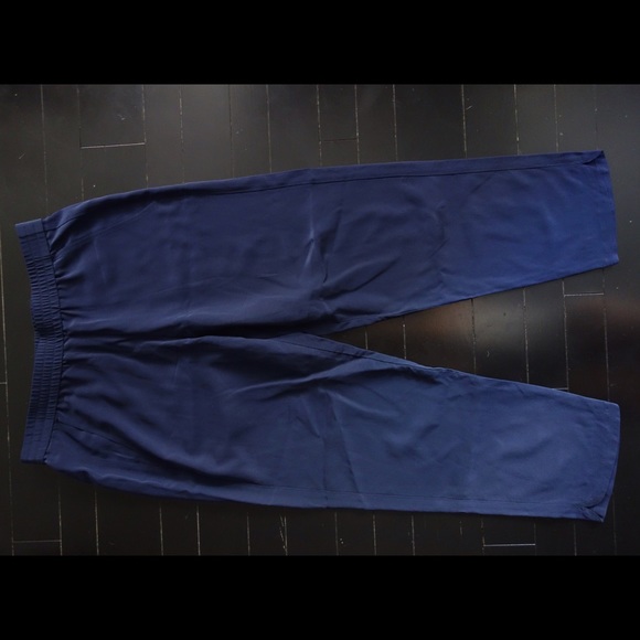 Navy silk trousers from Aritzia