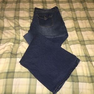 Angels brand Flare Leg Plus Size Jeans