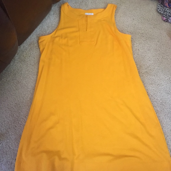 New York and company dress