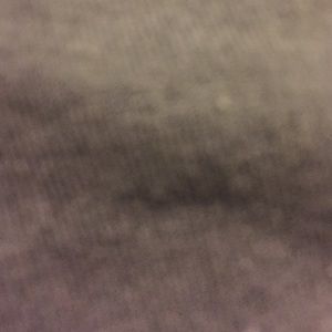 Meet your Posher, Julia