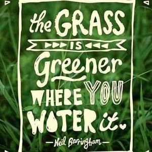 Meet your Posher, Holli