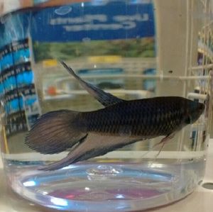 Meet your Posher, Kaitlyn