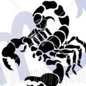 Meet your Posher, Kaydene