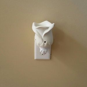 Scentsy warmer plug in