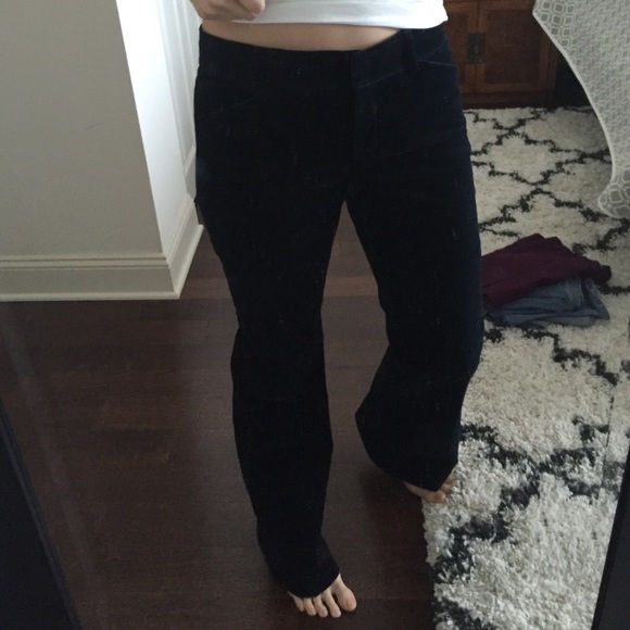 Blue velvet Theory trousers