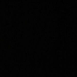 Meet your Posher, Noelle