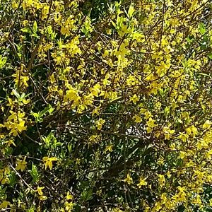 Meet your Posher, Pam