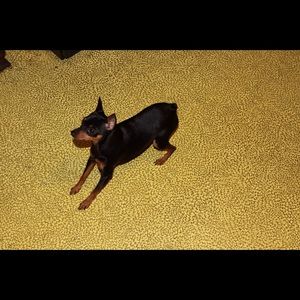 Meet your Posher, Kailey