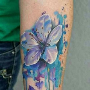 Meet your Posher, Wilmarie