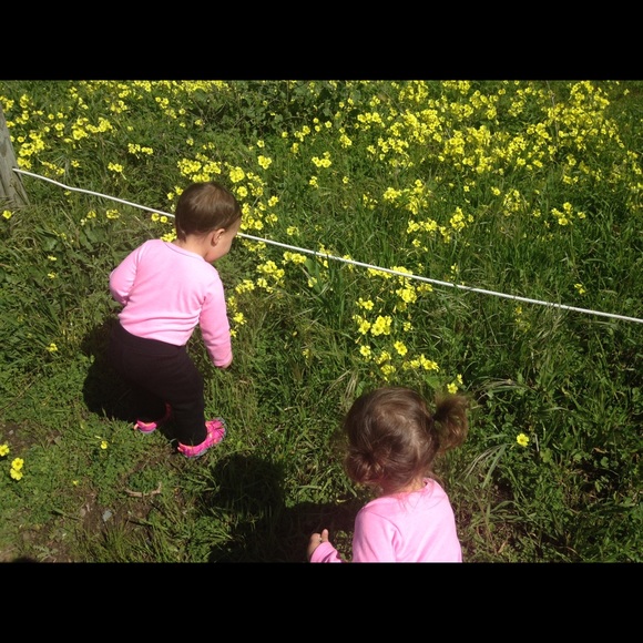 Meet your Posher, Melissa