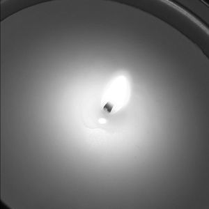 Meet your Posher, Charisma