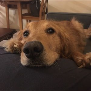 Meet your Posher, Colleen